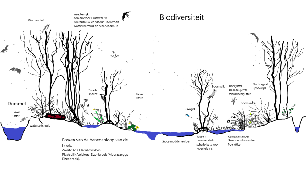 Soortenrijk doet mee met een prijsvraag van de stichting Ark