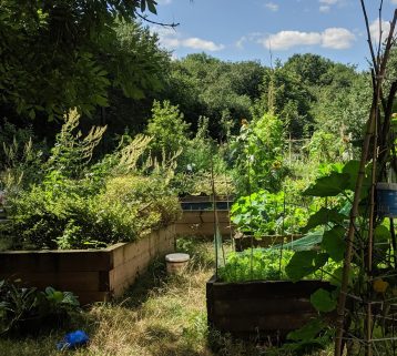 Intensieve boerderij, oase in de stad